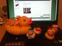 Click image for larger version

Name:	duckssssss (2).jpg
Views:	378
Size:	68.9 KB
ID:	10978