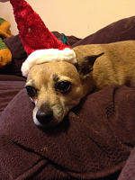 Click image for larger version

Name:	image-495297025.png
Views:	190
Size:	845.2 KB
ID:	2090