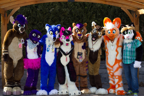 Name:  furrycon.jpg
Views: 441
Size:  97.4 KB