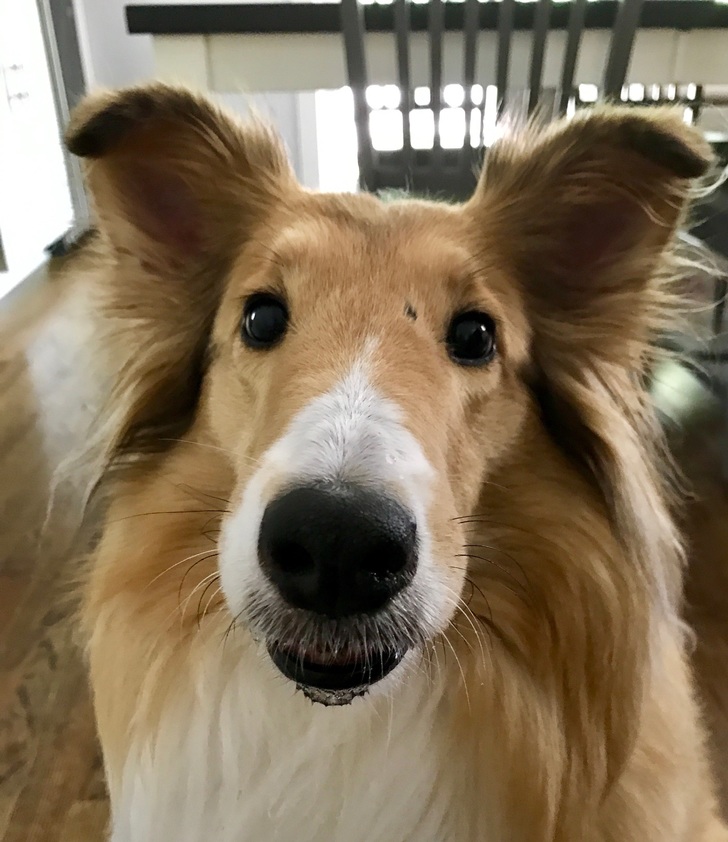 Name:  YXHDnCbg.jpg
Views: 473
Size:  158.0 KB