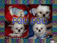 Click image for larger version

Name:	pizap.com13097738910161.jpg
Views:	485
Size:	512.1 KB
ID:	3166