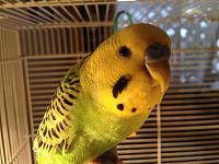 Click image for larger version

Name:	image-3900609840.jpg
Views:	284
Size:	279.5 KB
ID:	3169