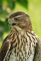 Click image for larger version

Name:	image-2894386293.png
Views:	215
Size:	247.8 KB
ID:	4597