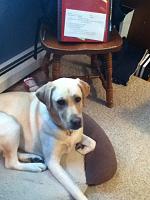 Click image for larger version

Name:	003.JPG
Views:	375
Size:	275.0 KB
ID:	6469