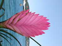 Click image for larger version

Name:	DSCF8217.JPG
Views:	268
Size:	2.70 MB
ID:	8338