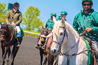Click image for larger version

Name:	keeneland_473.png
Views:	137
Size:	4.72 MB
ID:	14825