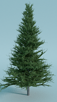 Click image for larger version

Name:	xmas-tree2.png
Views:	381
Size:	1.10 MB
ID:	14110