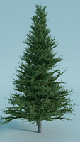 Click image for larger version

Name:	xmas-tree2.png
Views:	382
Size:	1.10 MB
ID:	14110