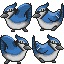 Name:  cervusbluejay.png
Views: 814
Size:  2.5 KB